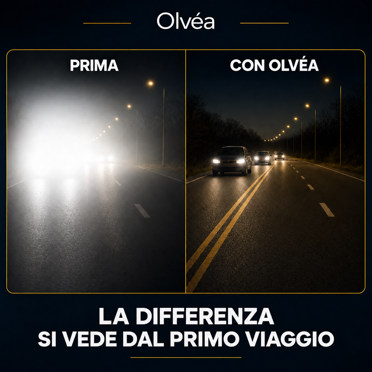 Olvéa Notte